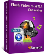 4Easysoft Flash Video to WMA Converter