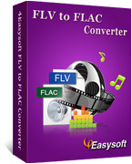 4Easysoft FLV to FLAC Converter