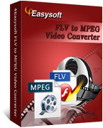 4Easysoft FLV to MPEG Video Converter