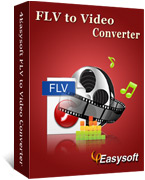 4Easysoft FLV to Video Converter