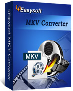 Mkv To Mp4 Converter Editor