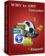 4Easysoft WMV to AMV  Converter