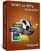 4Easysoft WMV to MP4 Converter