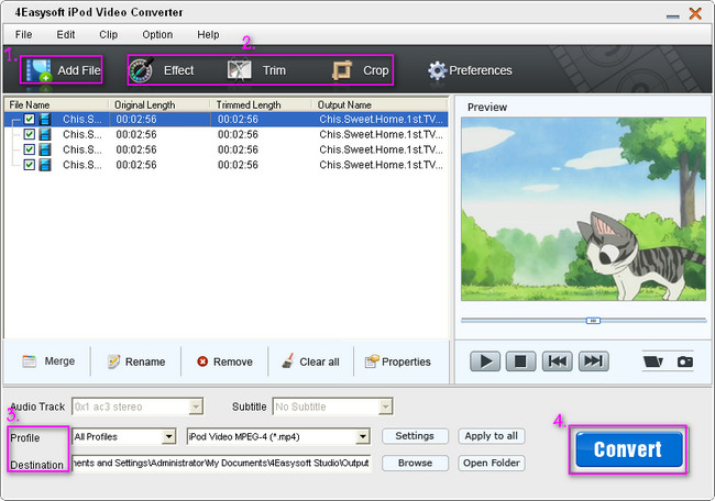 iPod Video Converter