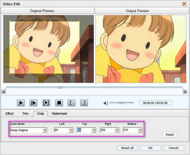 MP4 converter crop