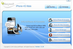 iPhone 4G Mate