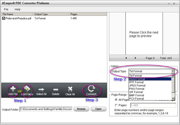 4Easysoft PDF Converter Platinum Steps