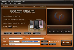 DVD to Walkman Converter