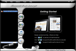 iPad Manager