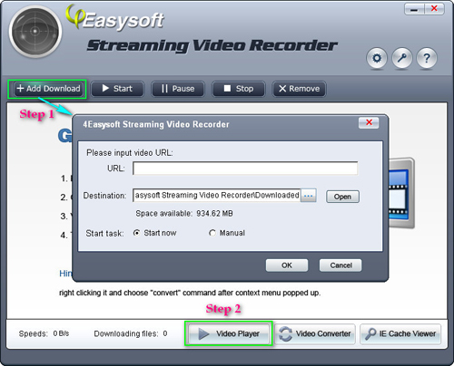 4Easysoft Streaming Video Recorder Steps