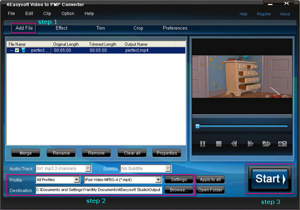 Video to PMP Converter steps