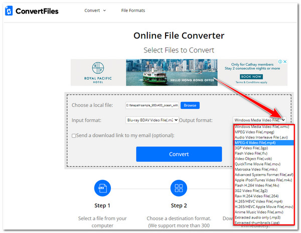 M2TS Converter ConvertFiles Select Output Format