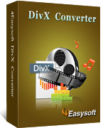 4Easysoft DivX Converter