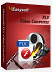 4Easysoft FLV Converter Pro