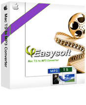 4Easysoft Mac TS to MP3 Converter