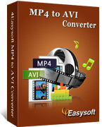 4Easysoft MP4 to AVI Converter
