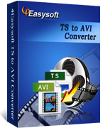 4Easysoft TS to AVI Converter