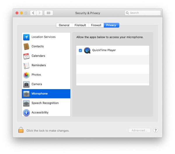 Включить Quicktime Microphone Access
