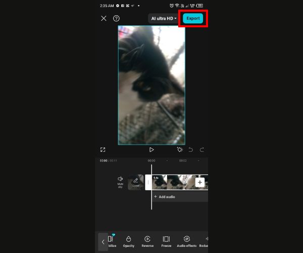 Capcut İhracat