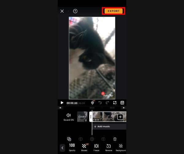 Vivavideo Dışa Aktarma