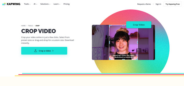 Kapwing Crop Instagram Story Size