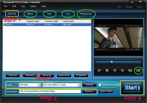 FLV to Video Converter