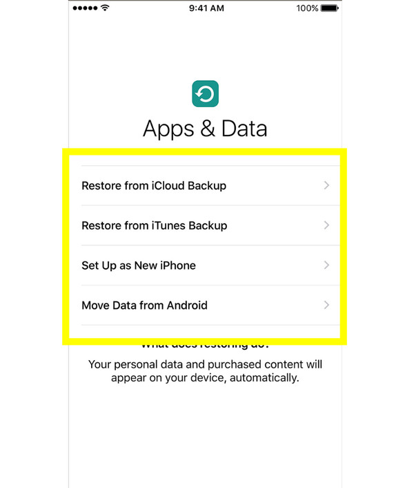 旧款 iPhone 上的应用和数据屏幕