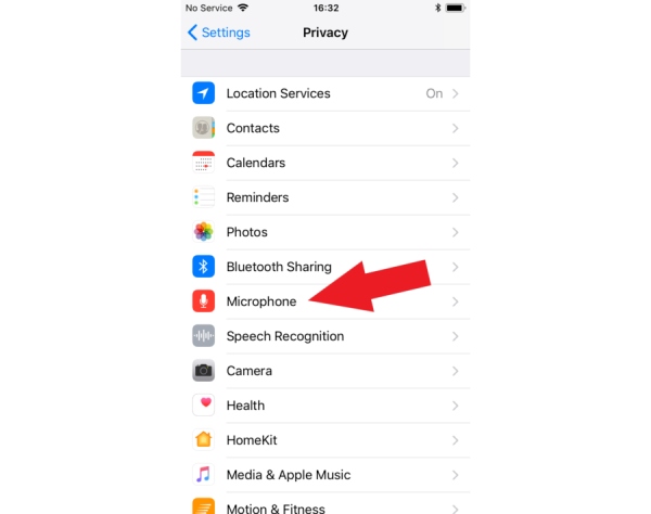 查找麦克风以检查应用程序