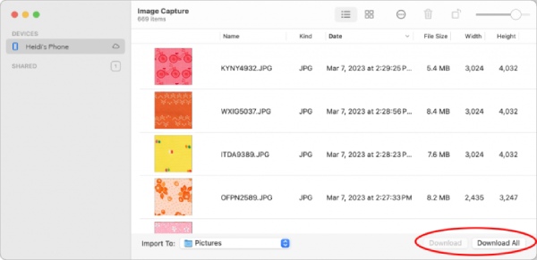 写真の移動 画像キャプチャ
