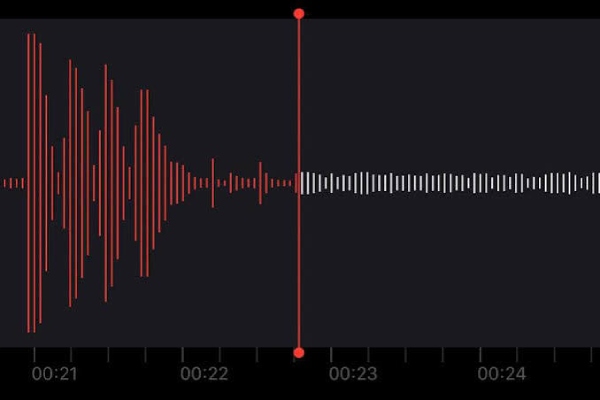 Musikoptagelsessoftware VM