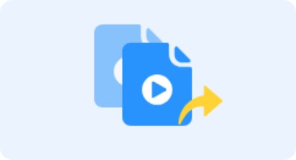 ייצוא וידאו מותאם אישית