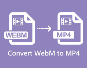 Convert Webm to MP4