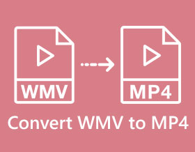 Convert WMV to MP4