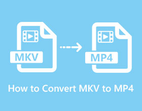 Convert MKV to MP4