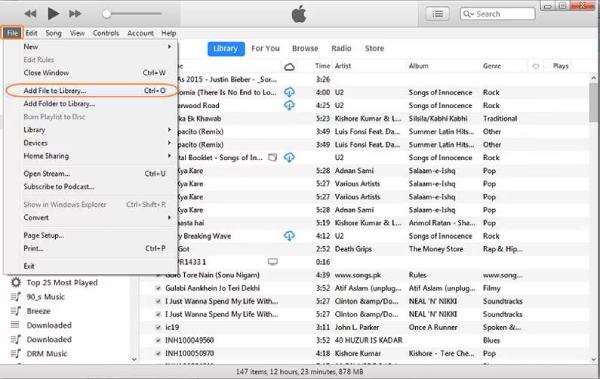 DVD'yi iTunes'a ekle