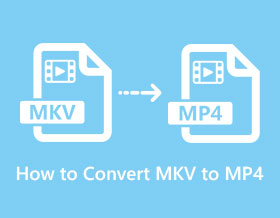 6 How to Convert MKV to MP4