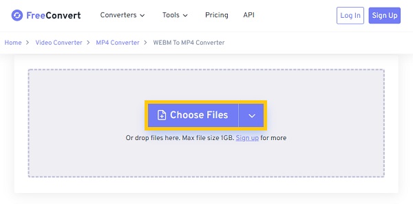 Vyberte FilesFreeConvert