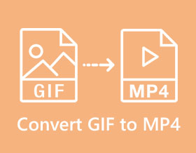 Convert GIF to MP4