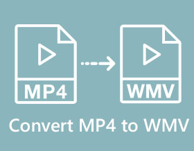 Convert MP4 to WMV
