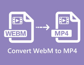 Convert WEBM to MP4