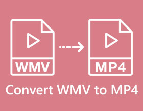 Převést WMV na MP4