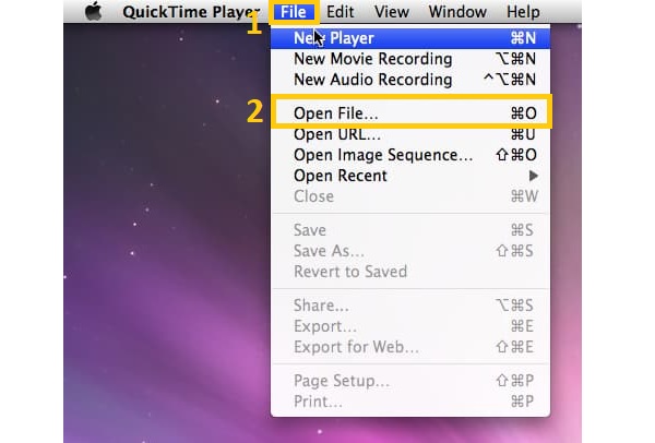 Quicktime 打开文件