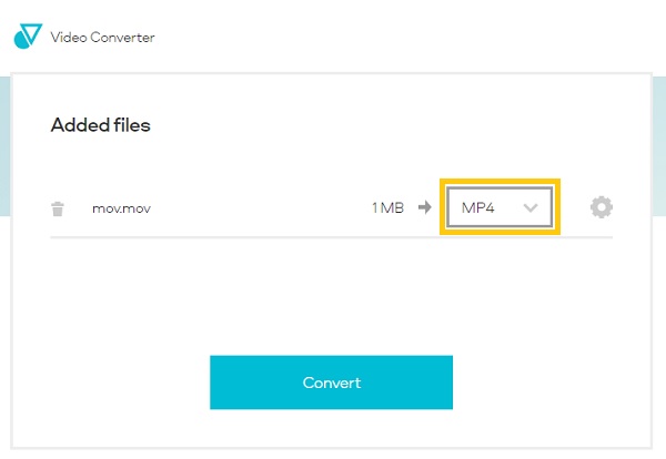 Video Converter Format