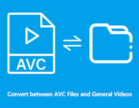 Convert Between AVC Files and General Videos