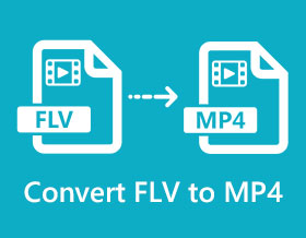Převést FLV na MP4