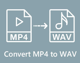 Převést MP4 do WAV