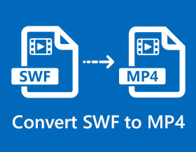 Convert SWF to MP4