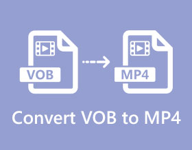 Převést VOB na MP4