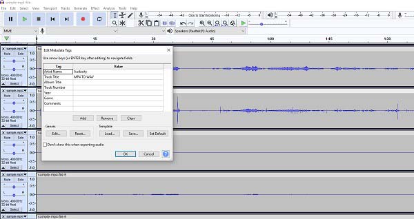 MP4toWAV Audicity Metadata