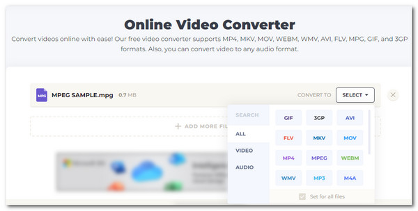 Online Video Converter Převod MPEG 4 do AVI